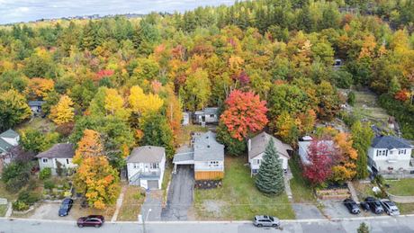 Aerial view of the neighbourhood bordered by forest